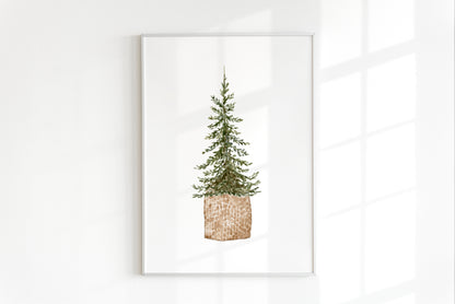 ONLY  WS - 6 Pine Tree Prints