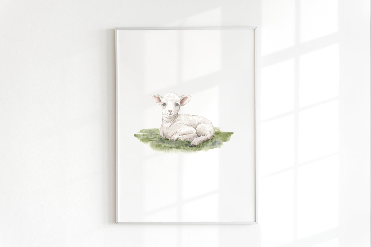 ONLY  WS - 6 Lamb Prints