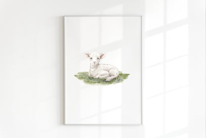 ONLY  WS - 6 Lamb Prints