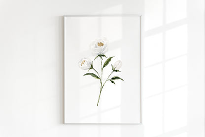 White Peony Print