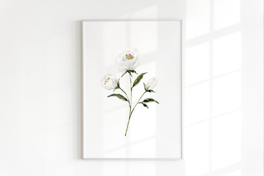 White Peony Print