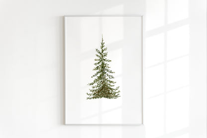 ONLY  WS - 6 Pine Tree Prints